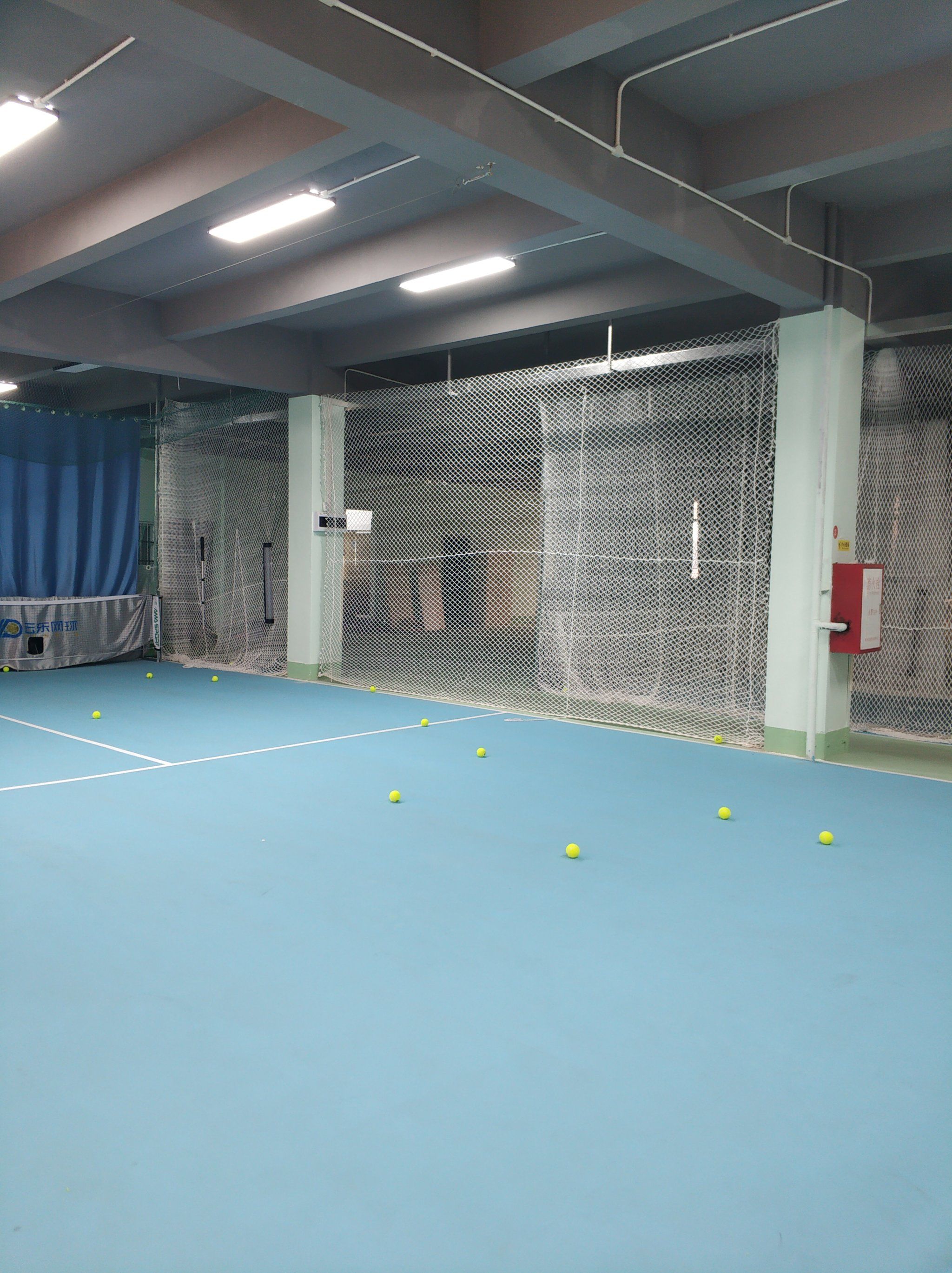 有着极高的 有着极高的