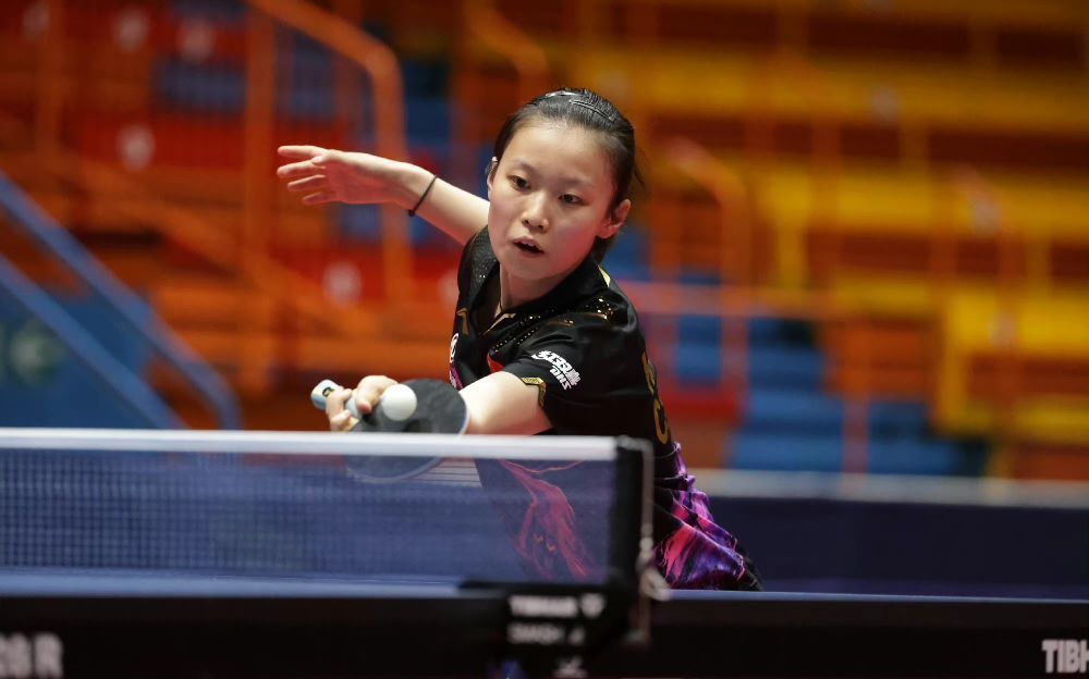 定性明显提 定性明显提