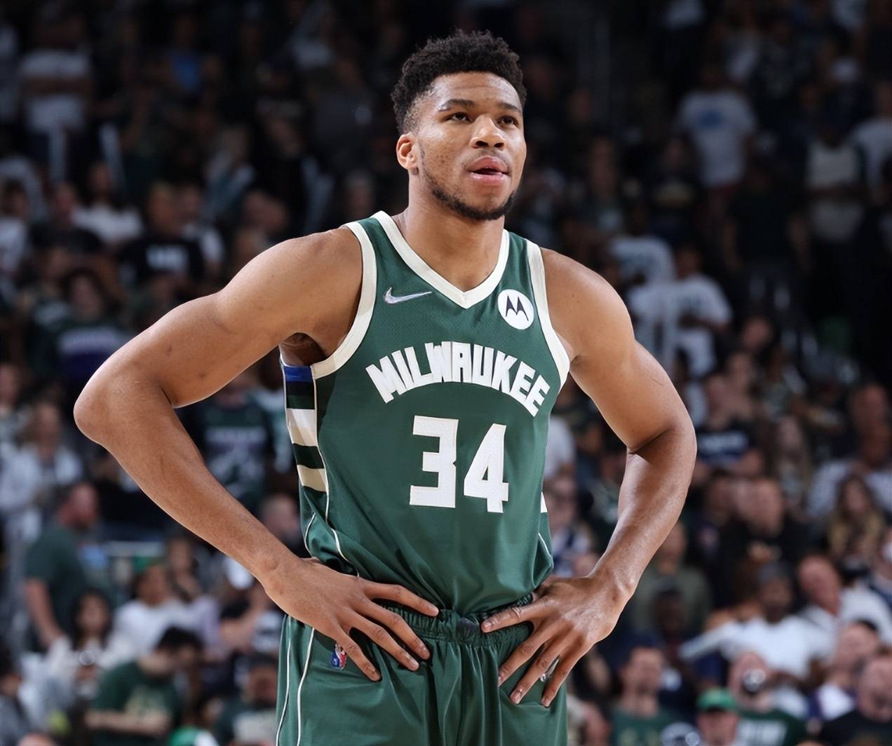 段性验证 段性验证